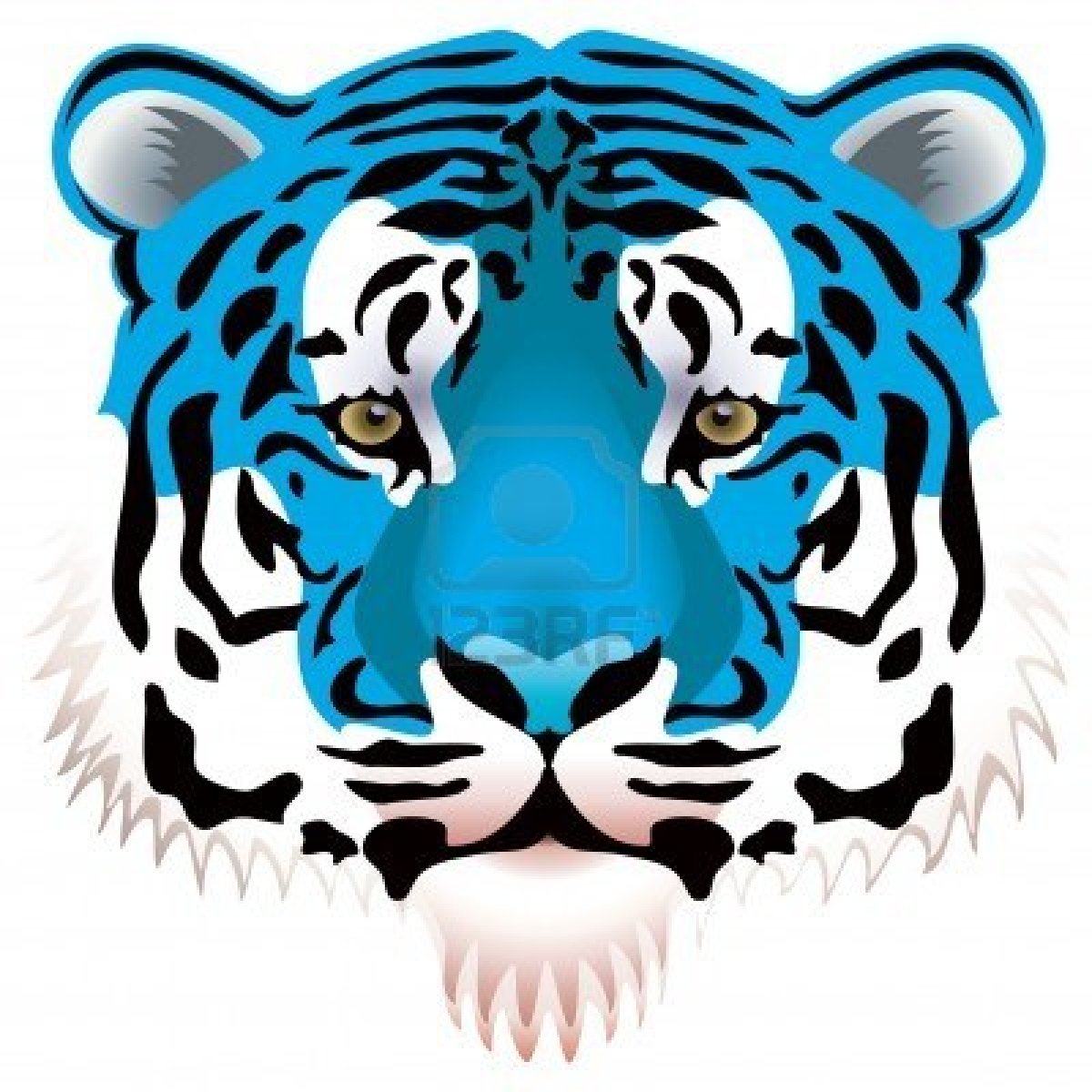 tigerblue77 avatar